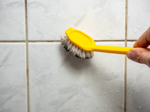 Best Toxic Mold Removal  in Fort Lee, VA