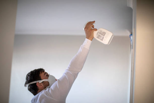 Best Fast Mold Removal  in Fort Lee, VA