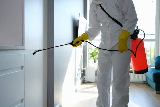 Best Best Mold Removal Companies  in Fort Lee, VA